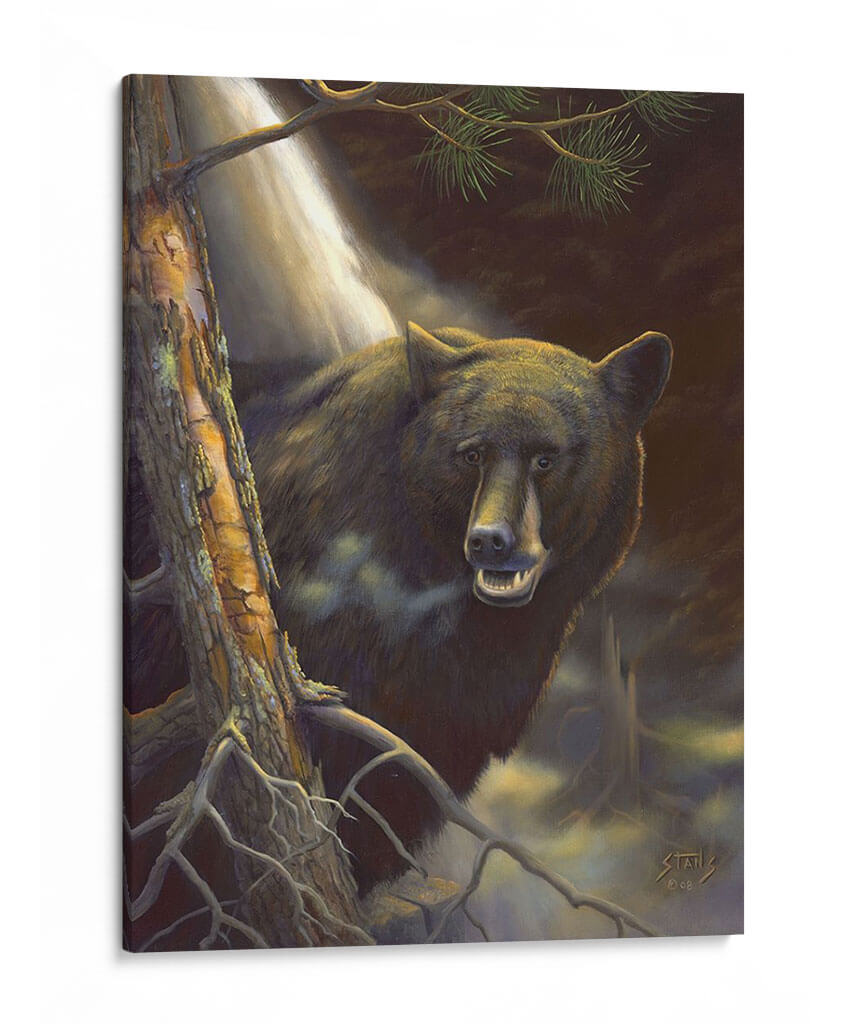 Retrato De Oso - Leo Stans | Cuadro decorativo de Canvas Lab