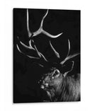 Actitud - Julie T. Chapman | Cuadro decorativo de Canvas Lab