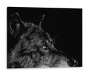 Lobo Negro - Julie T. Chapman | Cuadro decorativo de Canvas Lab