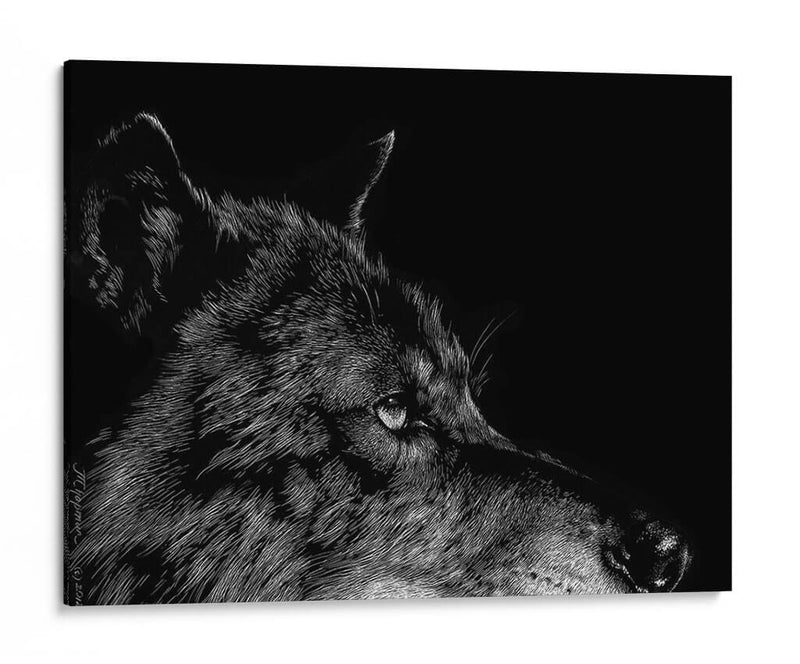 Lobo Negro - Julie T. Chapman | Cuadro decorativo de Canvas Lab