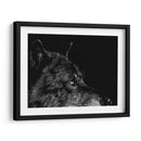 Lobo Negro - Julie T. Chapman | Cuadro decorativo de Canvas Lab