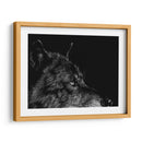 Lobo Negro - Julie T. Chapman | Cuadro decorativo de Canvas Lab