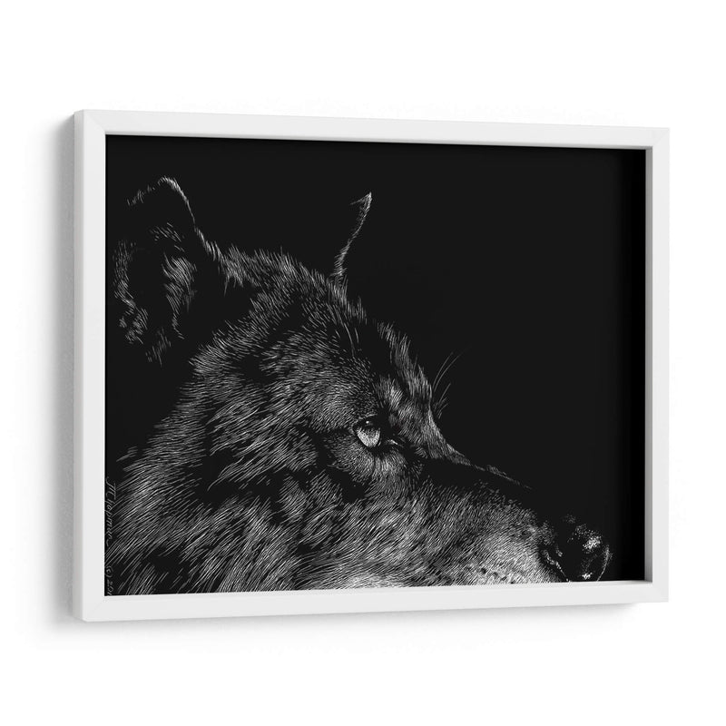 Lobo Negro - Julie T. Chapman | Cuadro decorativo de Canvas Lab