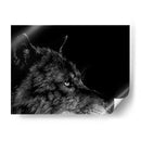 Lobo Negro - Julie T. Chapman | Cuadro decorativo de Canvas Lab