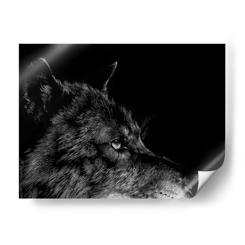 Lobo Negro - Julie T. Chapman | Cuadro decorativo de Canvas Lab