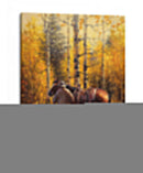Sangre De Cristo Gold - Jack Sorenson | Cuadro decorativo de Canvas Lab