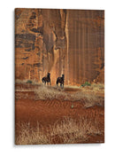 Canyon Dewellers Personalizado (Ceniza) - David Drost | Cuadro decorativo de Canvas Lab