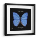 Mariposa Sorprendente I - Ginny Joyner | Cuadro decorativo de Canvas Lab