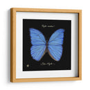 Mariposa Sorprendente I - Ginny Joyner | Cuadro decorativo de Canvas Lab