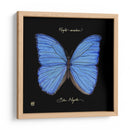 Mariposa Sorprendente I - Ginny Joyner | Cuadro decorativo de Canvas Lab