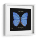 Mariposa Sorprendente I - Ginny Joyner | Cuadro decorativo de Canvas Lab