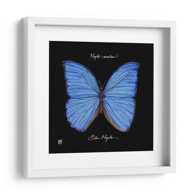 Mariposa Sorprendente I - Ginny Joyner | Cuadro decorativo de Canvas Lab