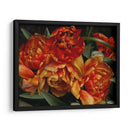 Tulipanes Del Viejo Mundo I - Rachel Perry | Cuadro decorativo de Canvas Lab