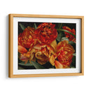 Tulipanes Del Viejo Mundo I - Rachel Perry | Cuadro decorativo de Canvas Lab