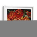 Tulipanes Del Viejo Mundo I - Rachel Perry | Cuadro decorativo de Canvas Lab