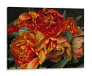 Tulipanes Del Viejo Mundo Ii - Rachel Perry | Cuadro decorativo de Canvas Lab