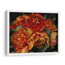 Tulipanes Del Viejo Mundo Ii - Rachel Perry | Cuadro decorativo de Canvas Lab