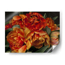 Tulipanes Del Viejo Mundo Ii - Rachel Perry | Cuadro decorativo de Canvas Lab