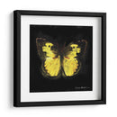 Techno Butterfly I - Lola Henry | Cuadro decorativo de Canvas Lab