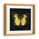 Techno Butterfly I - Lola Henry | Cuadro decorativo de Canvas Lab