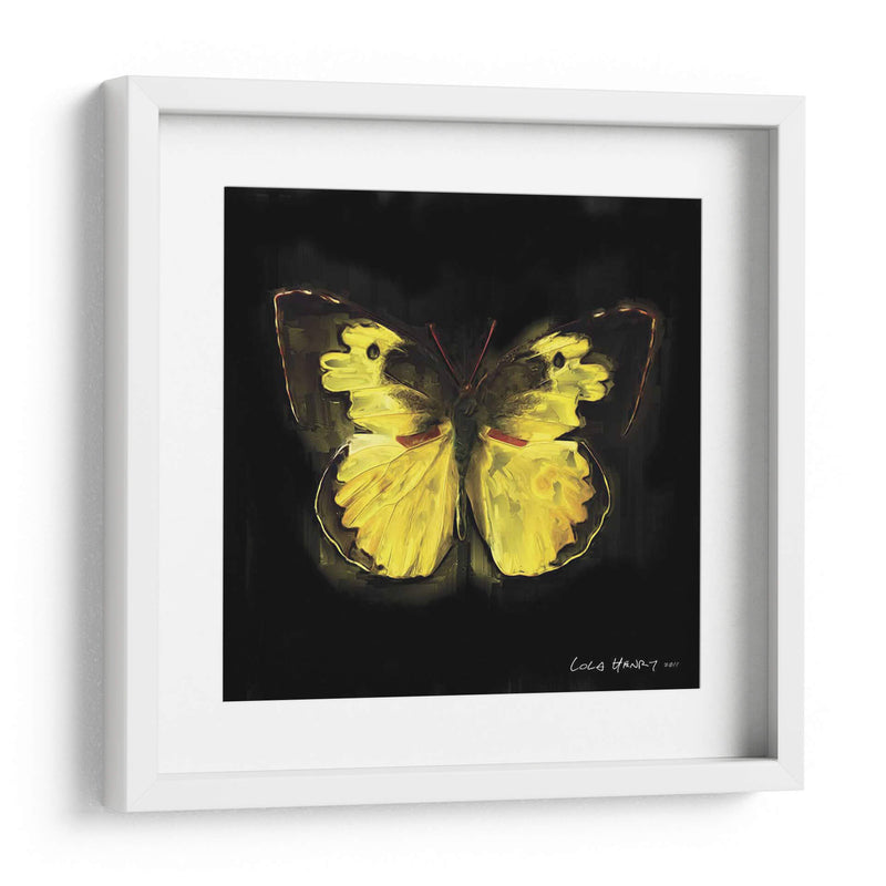 Techno Butterfly I - Lola Henry | Cuadro decorativo de Canvas Lab