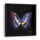 Techno Butterfly Ii - Lola Henry | Cuadro decorativo de Canvas Lab