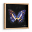 Techno Butterfly Ii - Lola Henry | Cuadro decorativo de Canvas Lab