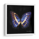 Techno Butterfly Ii - Lola Henry | Cuadro decorativo de Canvas Lab