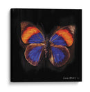Techno Butterfly Iii - Lola Henry | Cuadro decorativo de Canvas Lab