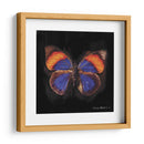 Techno Butterfly Iii - Lola Henry | Cuadro decorativo de Canvas Lab