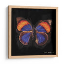 Techno Butterfly Iii - Lola Henry | Cuadro decorativo de Canvas Lab