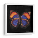 Techno Butterfly Iii - Lola Henry | Cuadro decorativo de Canvas Lab
