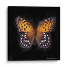 Techno Butterfly Iv - Lola Henry | Cuadro decorativo de Canvas Lab