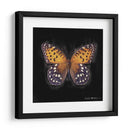 Techno Butterfly Iv - Lola Henry | Cuadro decorativo de Canvas Lab