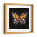 Techno Butterfly Iv - Lola Henry | Cuadro decorativo de Canvas Lab