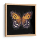 Techno Butterfly Iv - Lola Henry | Cuadro decorativo de Canvas Lab