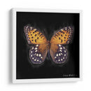 Techno Butterfly Iv - Lola Henry | Cuadro decorativo de Canvas Lab
