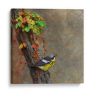 Curruca De Magnolia - Chris Vest | Cuadro decorativo de Canvas Lab