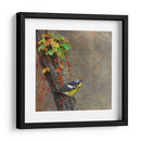 Curruca De Magnolia - Chris Vest | Cuadro decorativo de Canvas Lab