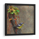 Curruca De Magnolia - Chris Vest | Cuadro decorativo de Canvas Lab