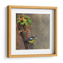 Curruca De Magnolia - Chris Vest | Cuadro decorativo de Canvas Lab