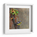 Curruca De Magnolia - Chris Vest | Cuadro decorativo de Canvas Lab