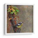 Curruca De Magnolia - Chris Vest | Cuadro decorativo de Canvas Lab