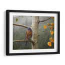 Lluvia Bluebird - Chris Vest | Cuadro decorativo de Canvas Lab