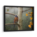 Lluvia Bluebird - Chris Vest | Cuadro decorativo de Canvas Lab