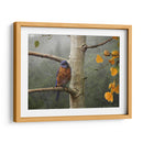 Lluvia Bluebird - Chris Vest | Cuadro decorativo de Canvas Lab