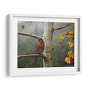 Lluvia Bluebird - Chris Vest | Cuadro decorativo de Canvas Lab