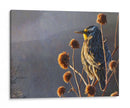 Meadowlark - Chris Vest | Cuadro decorativo de Canvas Lab