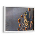 Meadowlark - Chris Vest | Cuadro decorativo de Canvas Lab