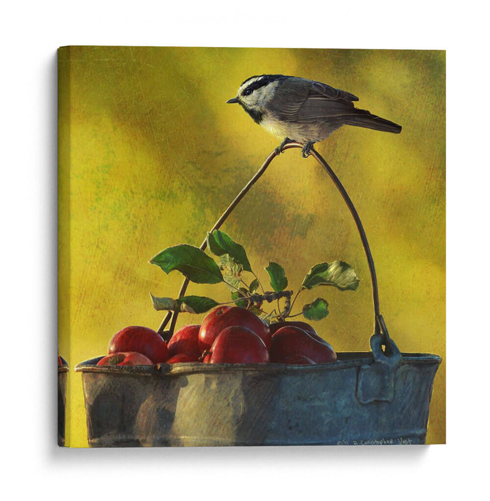 Manzanas Y Chickadee - Chris Vest | Cuadro decorativo de Canvas Lab